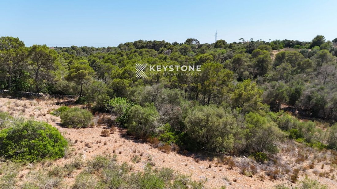 Land in s'Alqueria Blanca, Santanyi, Balearic Islands 4 - 17904312