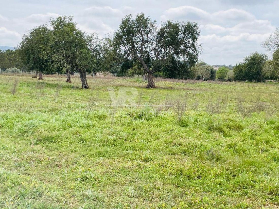 Land in Felanitx, Balearic Islands, Spain 1 - 17904259