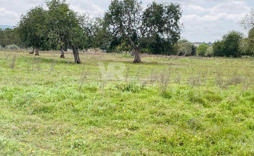 Land in Felanitx, Balearic Islands, Spain 1