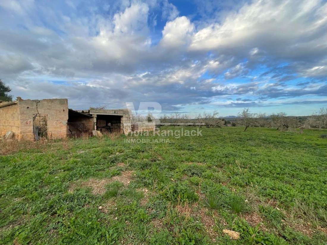 Land in Ariany, Balearic Islands, Spain 4 - 17904375