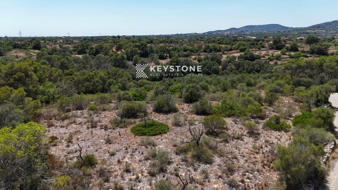 Land in s'Alqueria Blanca, Santanyi, Balearic Islands 2 - 17904312