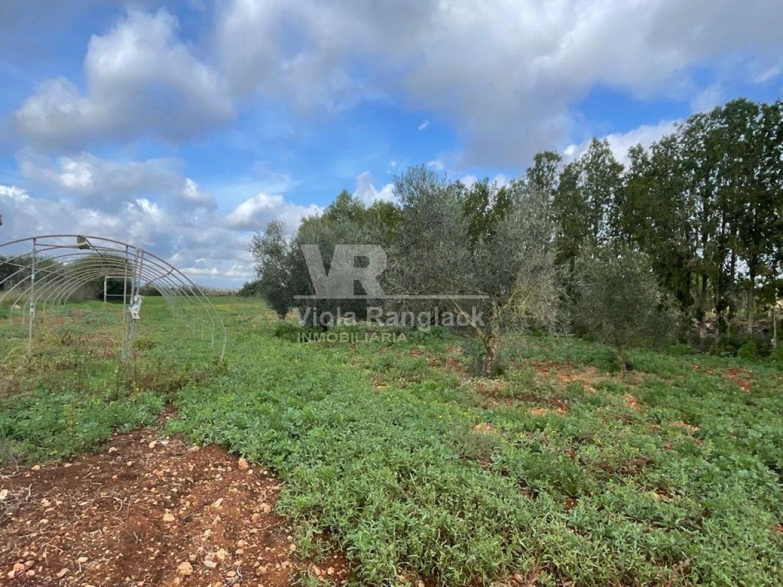 Country House in Felanitx, Balearic Islands, Spain 2 - 17905372