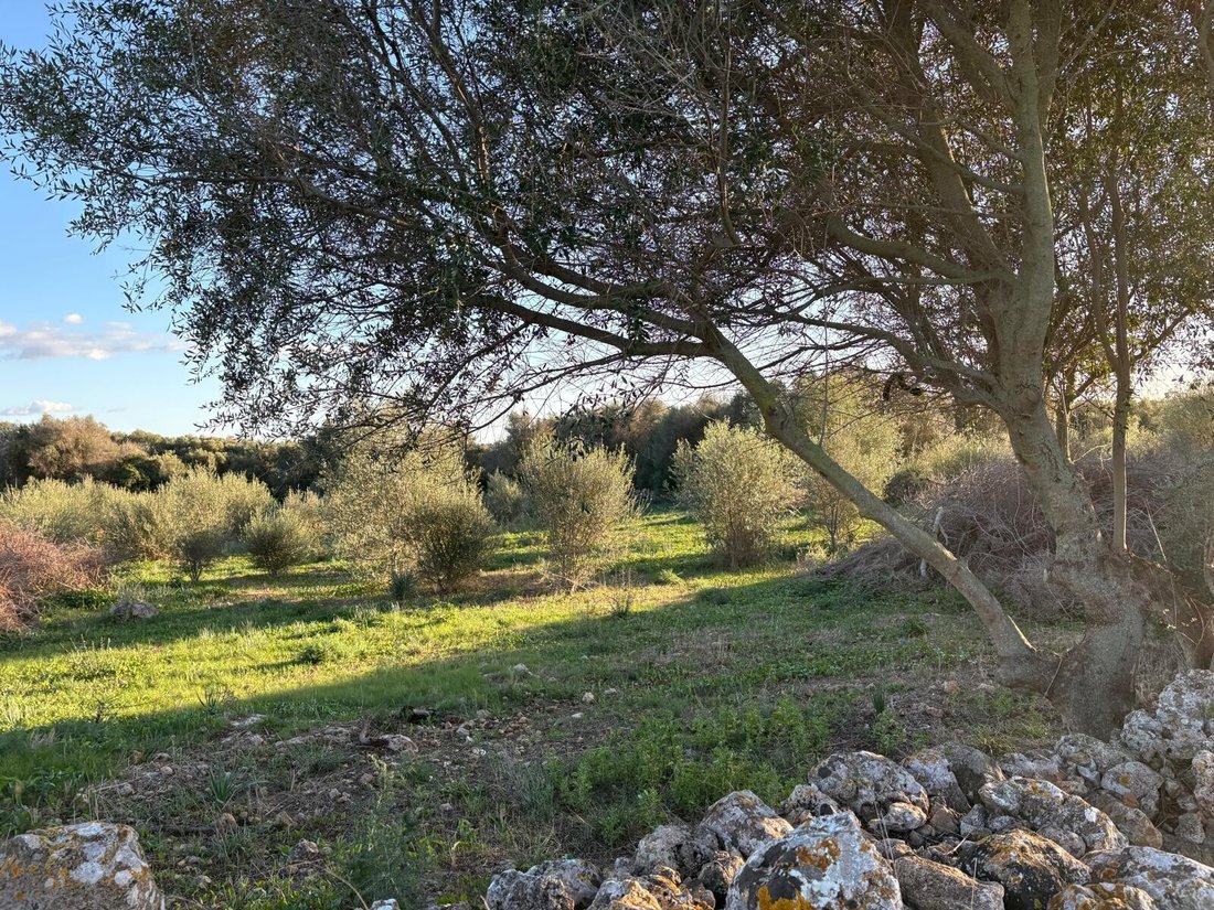 Finca in Sant Llorenc des Cardassar, Balearic Islands, Spain 1 - 17904337