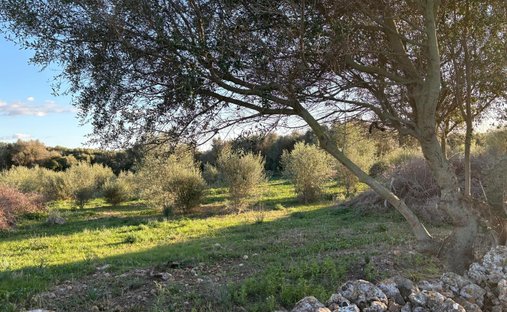 Finca à Sant Llorenç des Cardassar, Îles Baléares, Espagne 1