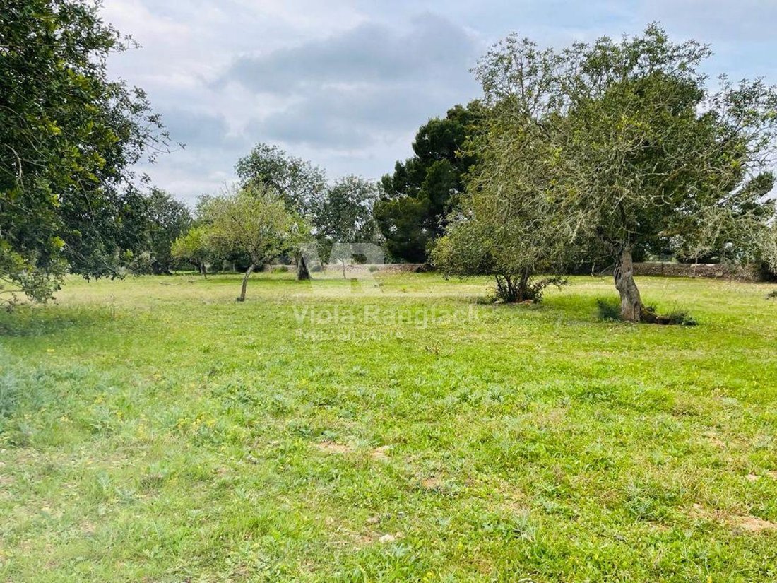Land in Felanitx, Balearic Islands, Spain 4 - 17904259