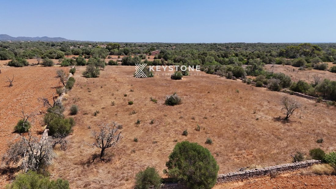 Land in Santanyi, Balearic Islands, Spain 4 - 17904270