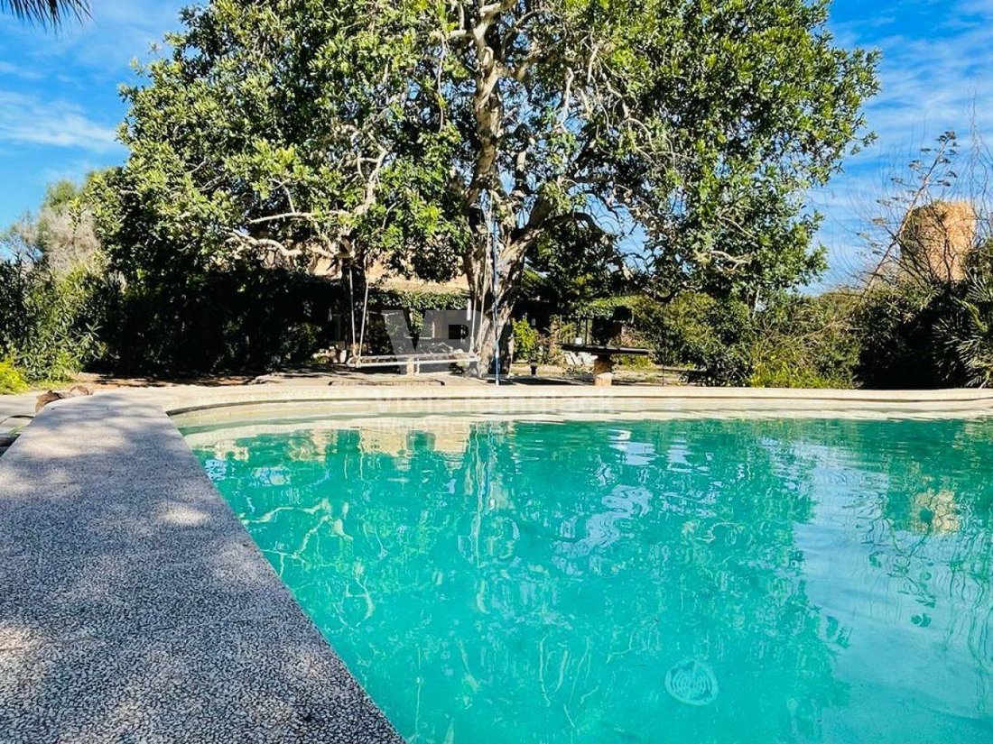 Country House in Santanyi, Balearic Islands, Spain 5 - 17905394