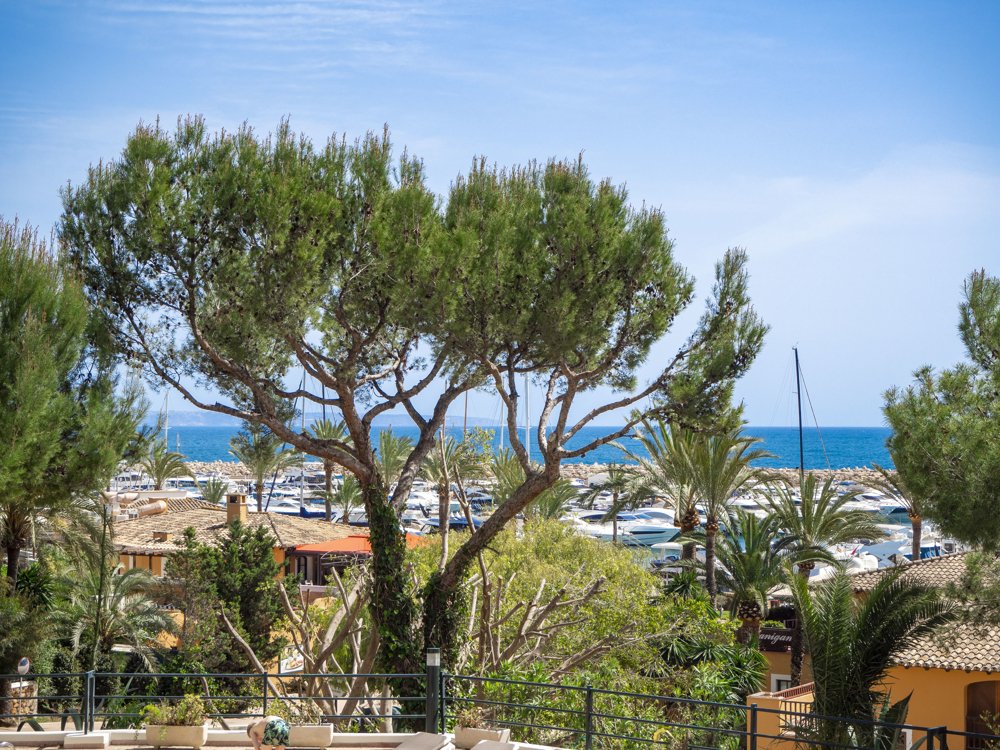 Condominio en Portals Nous, Calviá, Islas Baleares 2 - 17904991