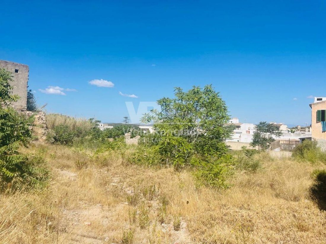 Land in Felanitx, Balearic Islands, Spain 3 - 17904231