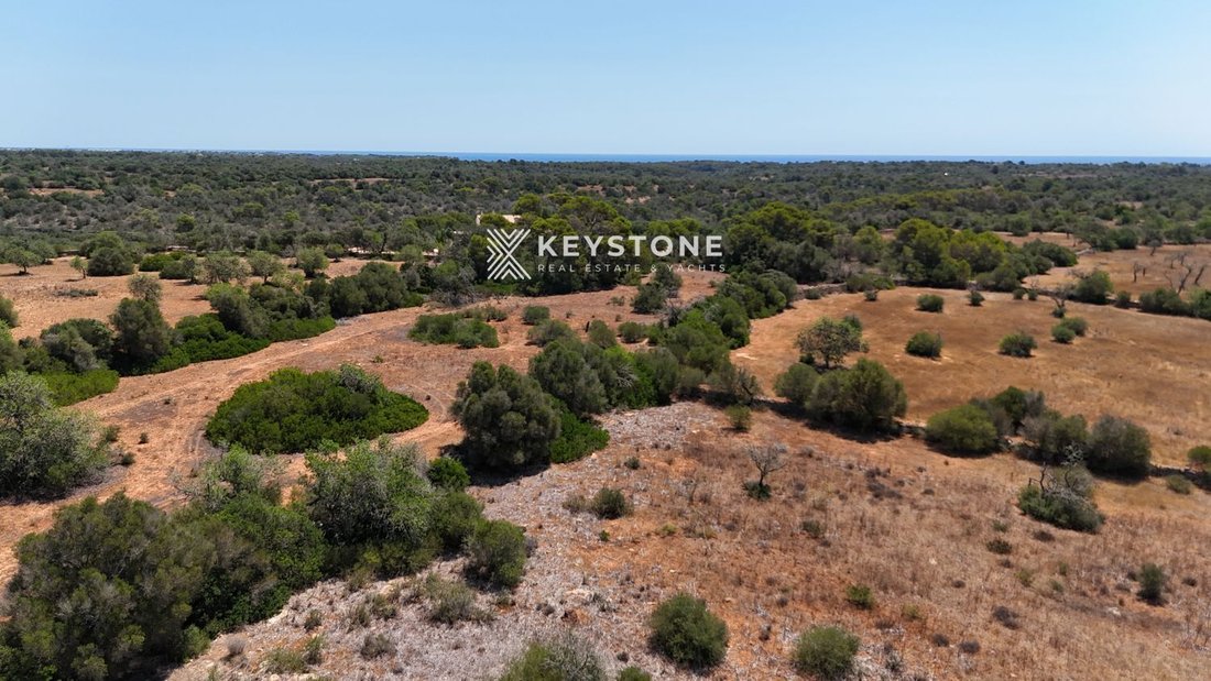 Land in Santanyi, Balearic Islands, Spain 1 - 17904270