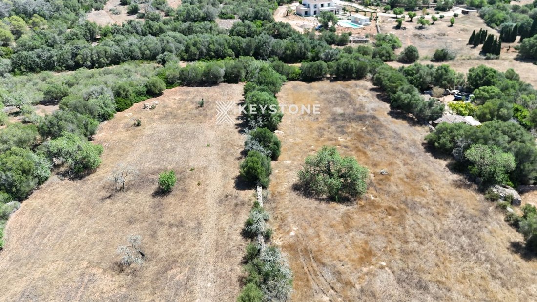 Finca in Santanyi, Balearic Islands, Spain 5 - 17906209