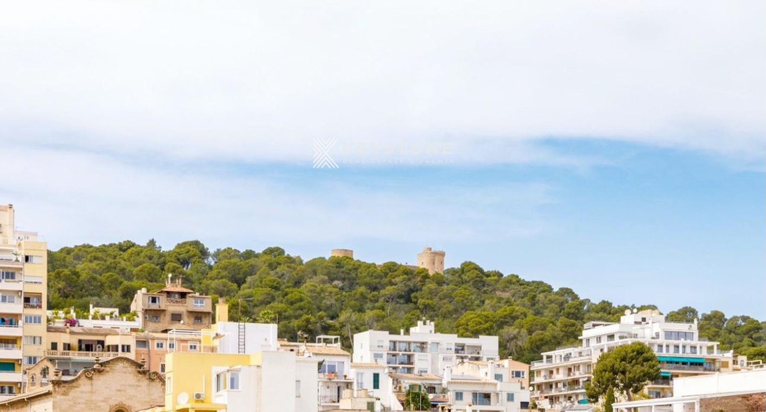 Estate in Palma, Balearic Islands, Spain 4 - 17906392