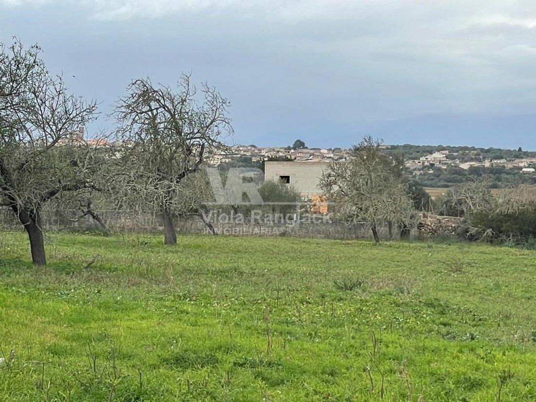 Land in Ariany, Balearic Islands, Spain 2 - 17904375