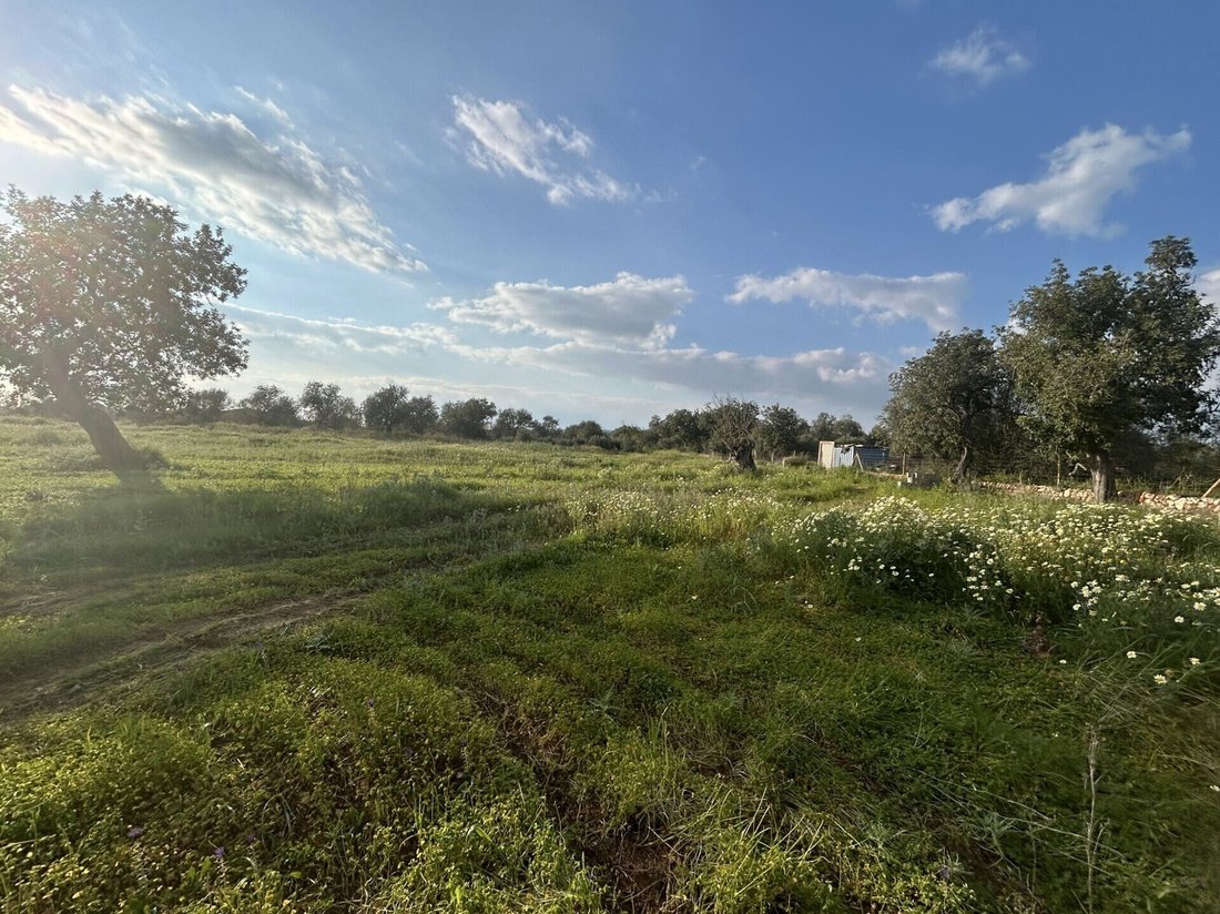 Land in Campos, Balearic Islands, Spain 3 - 17904314