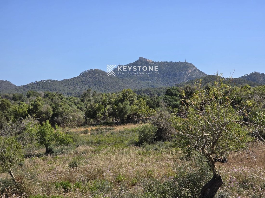 Finca in Felanitx, Balearic Islands, Spain 4 - 17906222