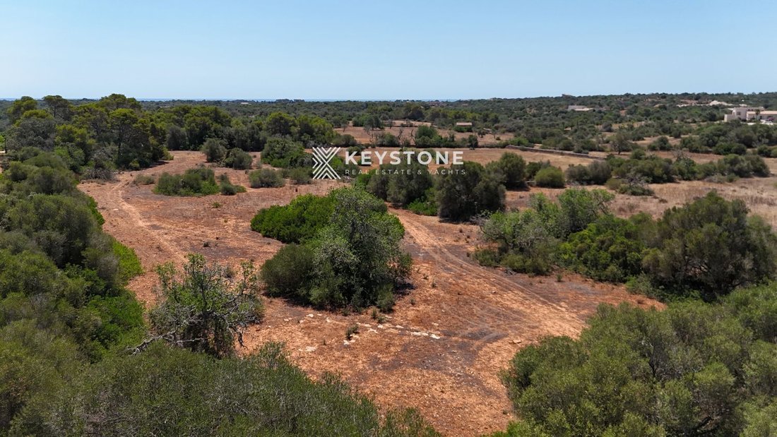 Land in Santanyi, Balearic Islands, Spain 5 - 17904270