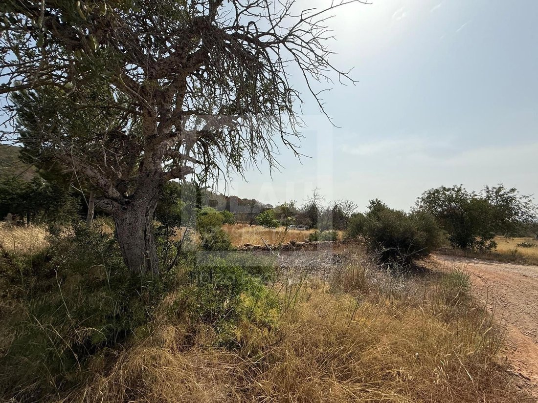 Land in Sant Jordi de ses Salines, Sant Josep de sa Talaia, Balearic Islands 3 - 17904260