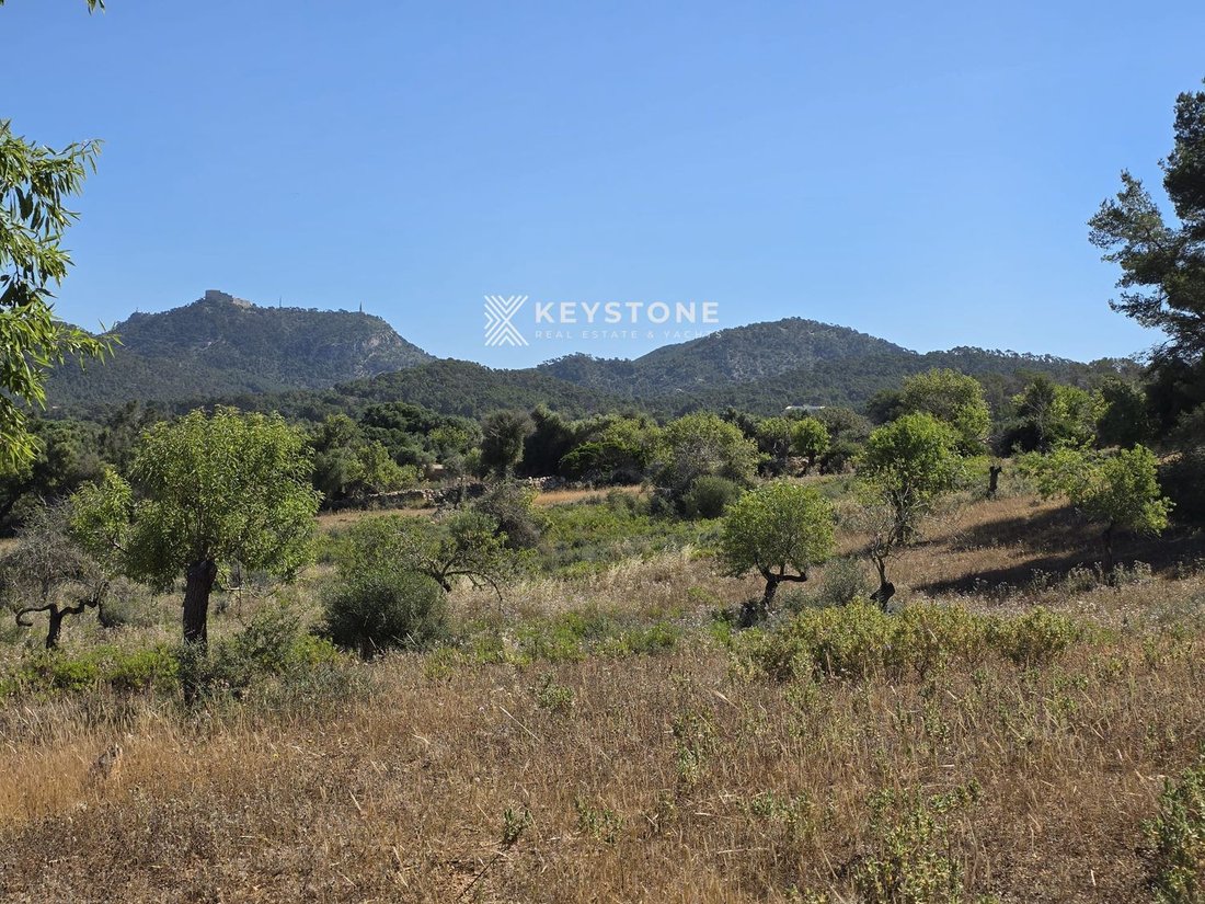Finca in Felanitx, Balearic Islands, Spain 3 - 17906222