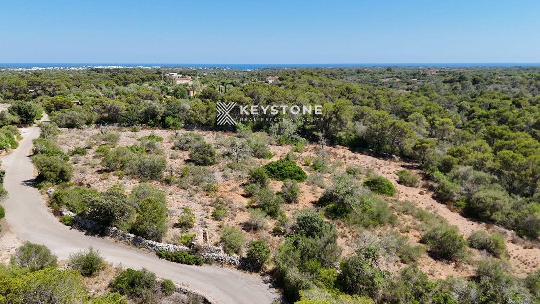 Land in s'Alqueria Blanca, Santanyi, Balearic Islands 5 - 17904312
