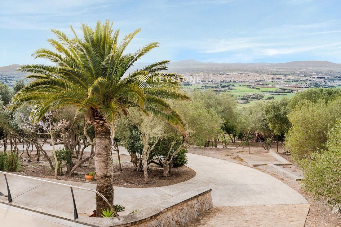Finca in Manacor, Balearic Islands, Spain 3 - 17906158