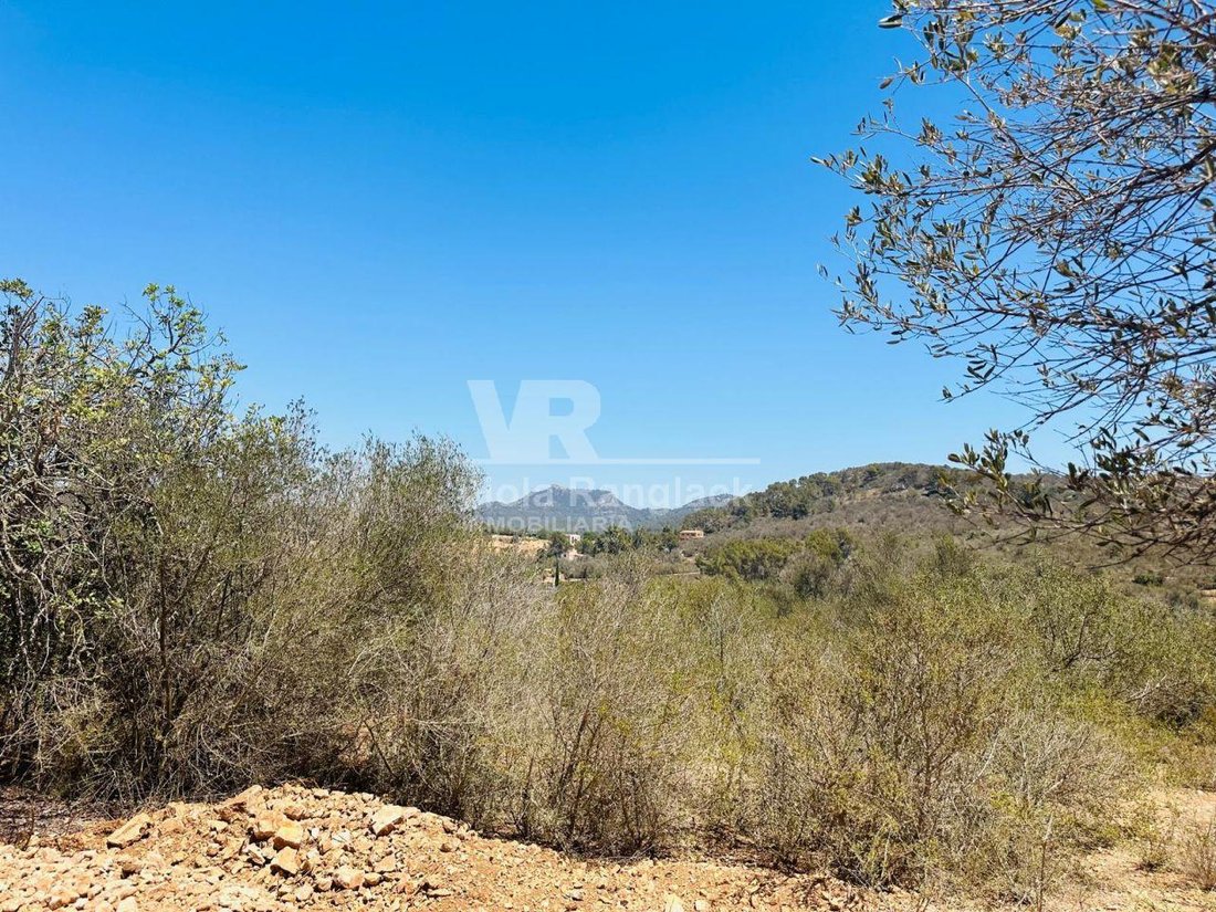 Land in Felanitx, Balearic Islands, Spain 1 - 17904408