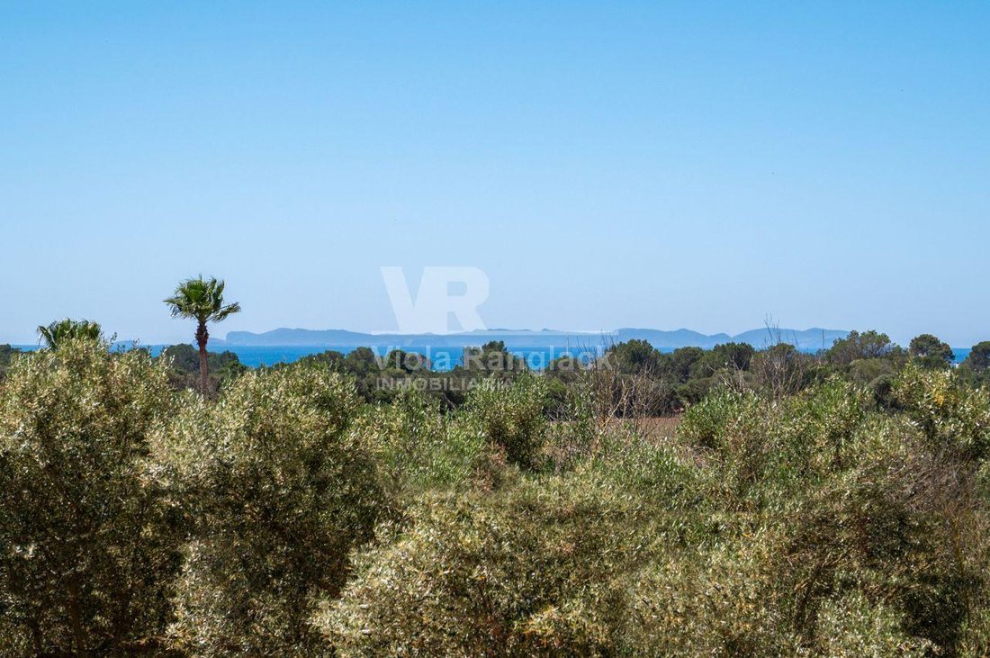 Finca in Campos, Balearic Islands, Spain 3 - 17905108