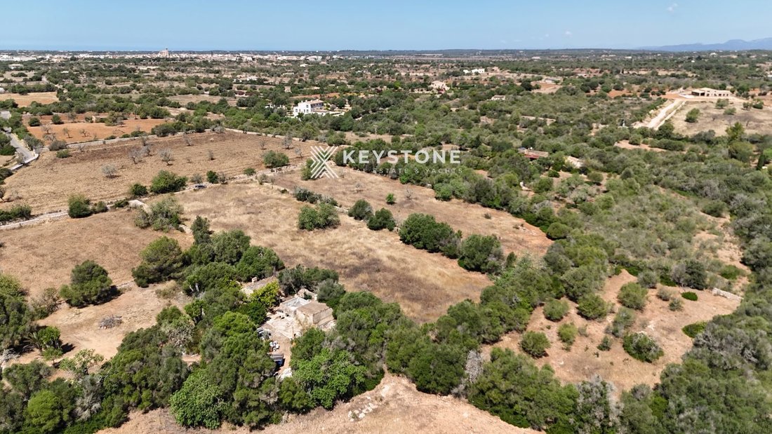 Finca in Santanyi, Balearic Islands, Spain 1 - 17906209