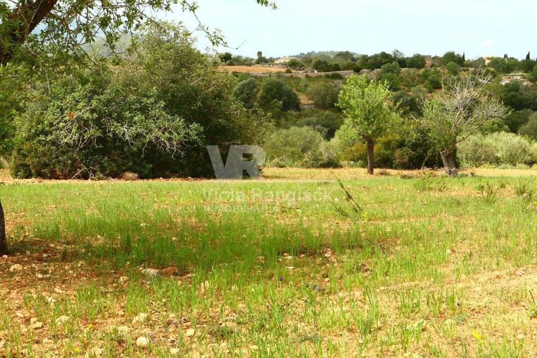 Land in Manacor, Balearic Islands, Spain 4 - 17904423