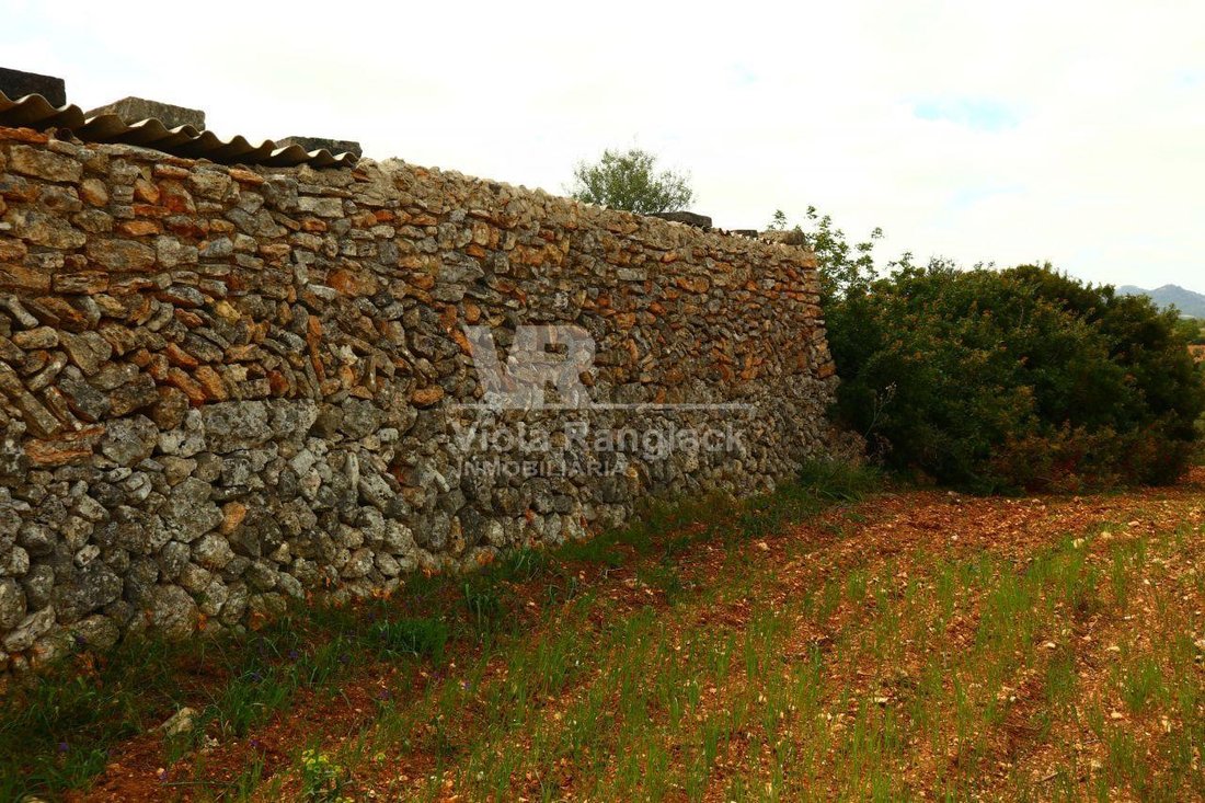 Land in Manacor, Balearic Islands, Spain 3 - 17904423