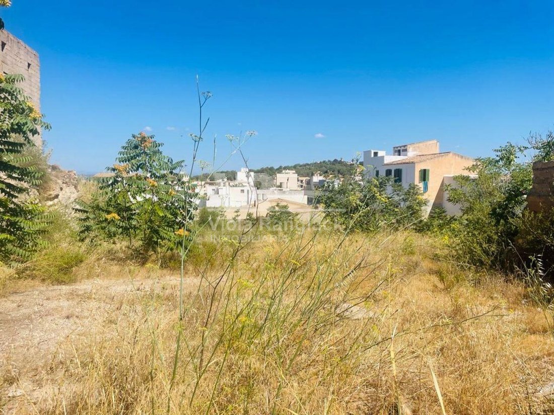 Land in Felanitx, Balearic Islands, Spain 4 - 17904231