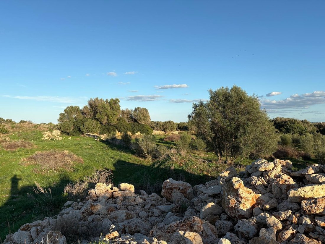 Finca in Sant Llorenc des Cardassar, Balearic Islands, Spain 4 - 17904337