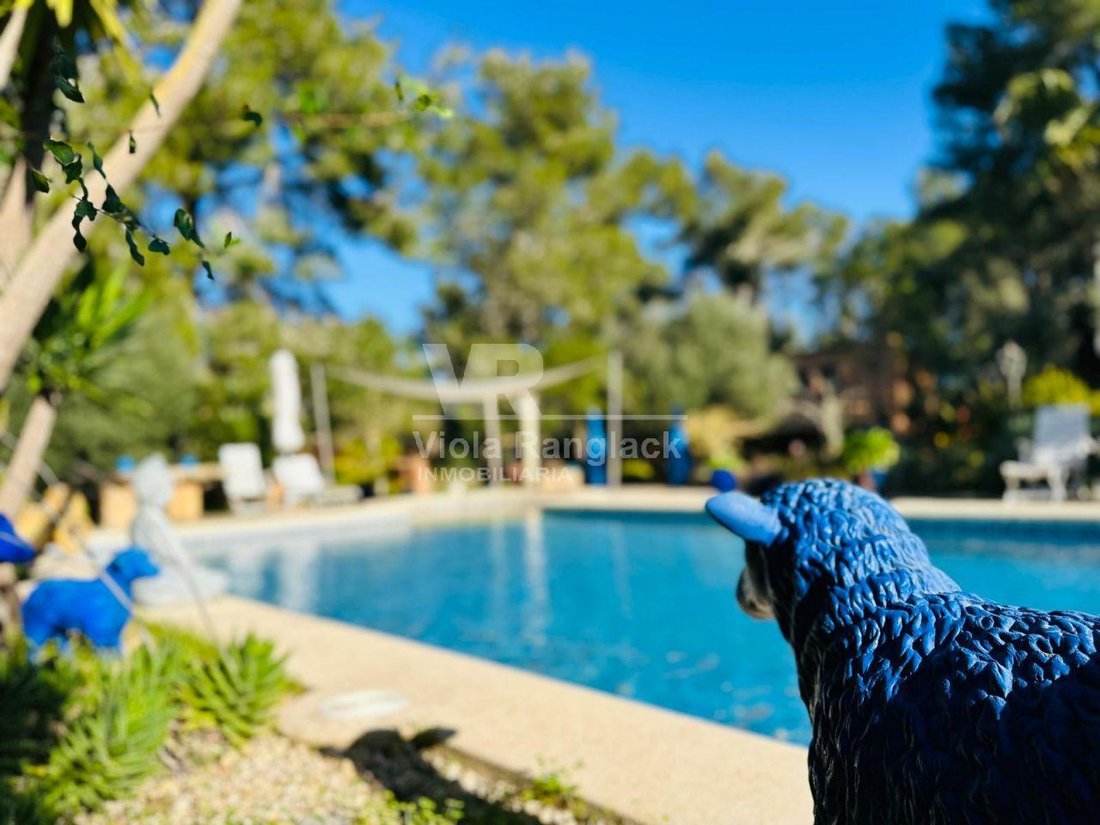 Finca in Felanitx, Balearic Islands, Spain 1 - 17905168