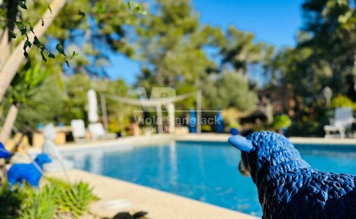Finca in Felanitx, Balearic Islands, Spain 1