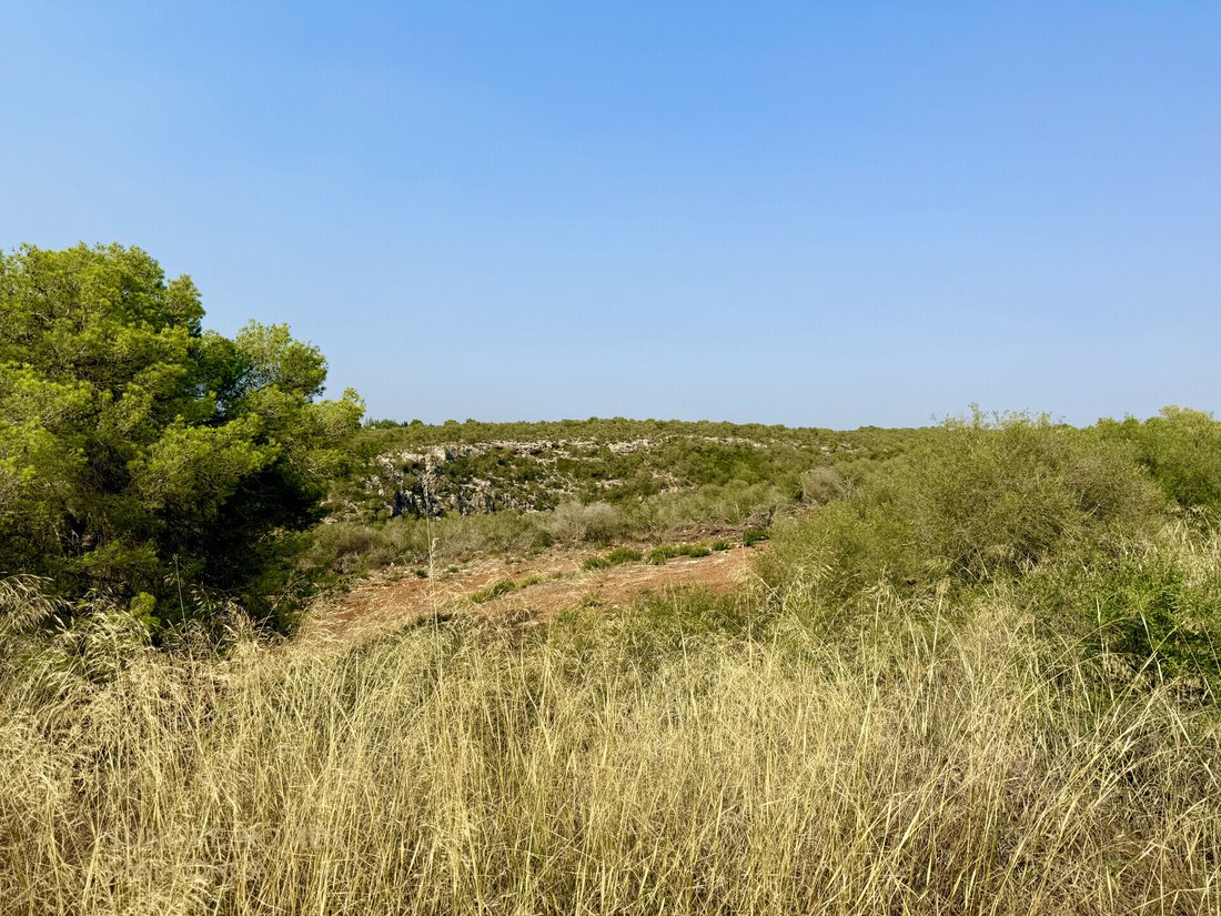 Villa in Palma, Balearic Islands, Spain 2 - 17904352
