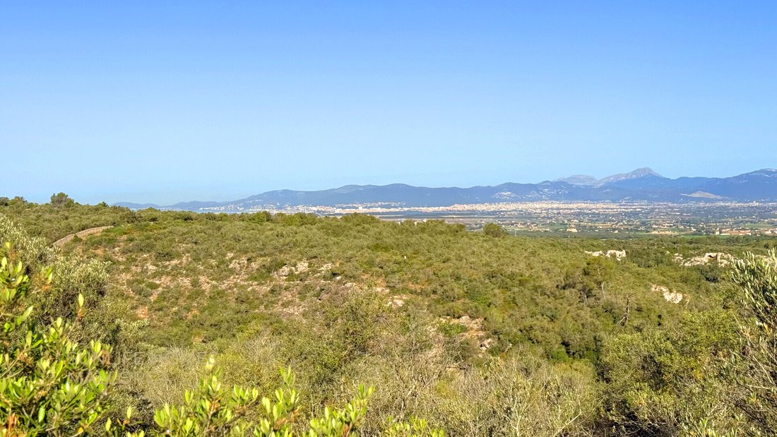 Land in Palma, Balearic Islands, Spain 1 - 17904440