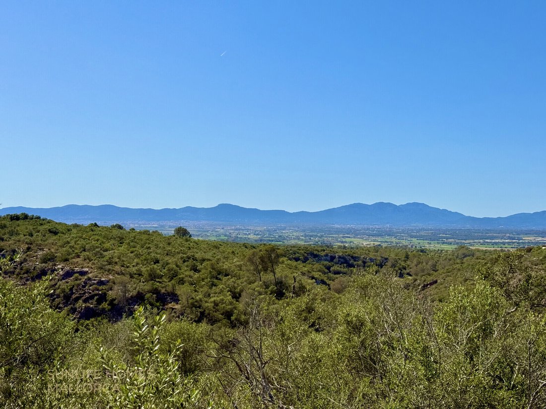 Land in Palma, Balearic Islands, Spain 4 - 17904440