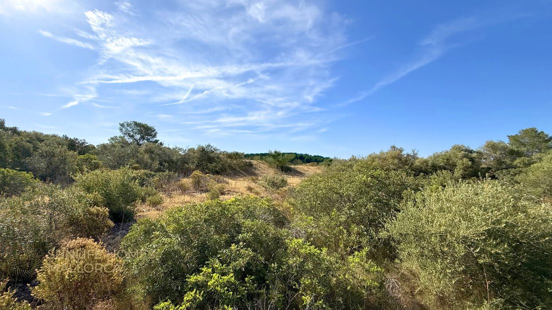 Land in Palma, Balearic Islands, Spain 5 - 17904440