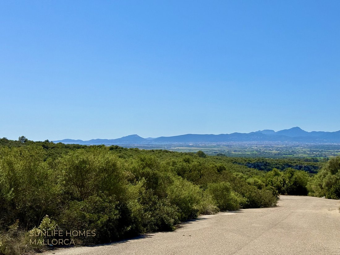 Land in Palma, Balearic Islands, Spain 3 - 17904440
