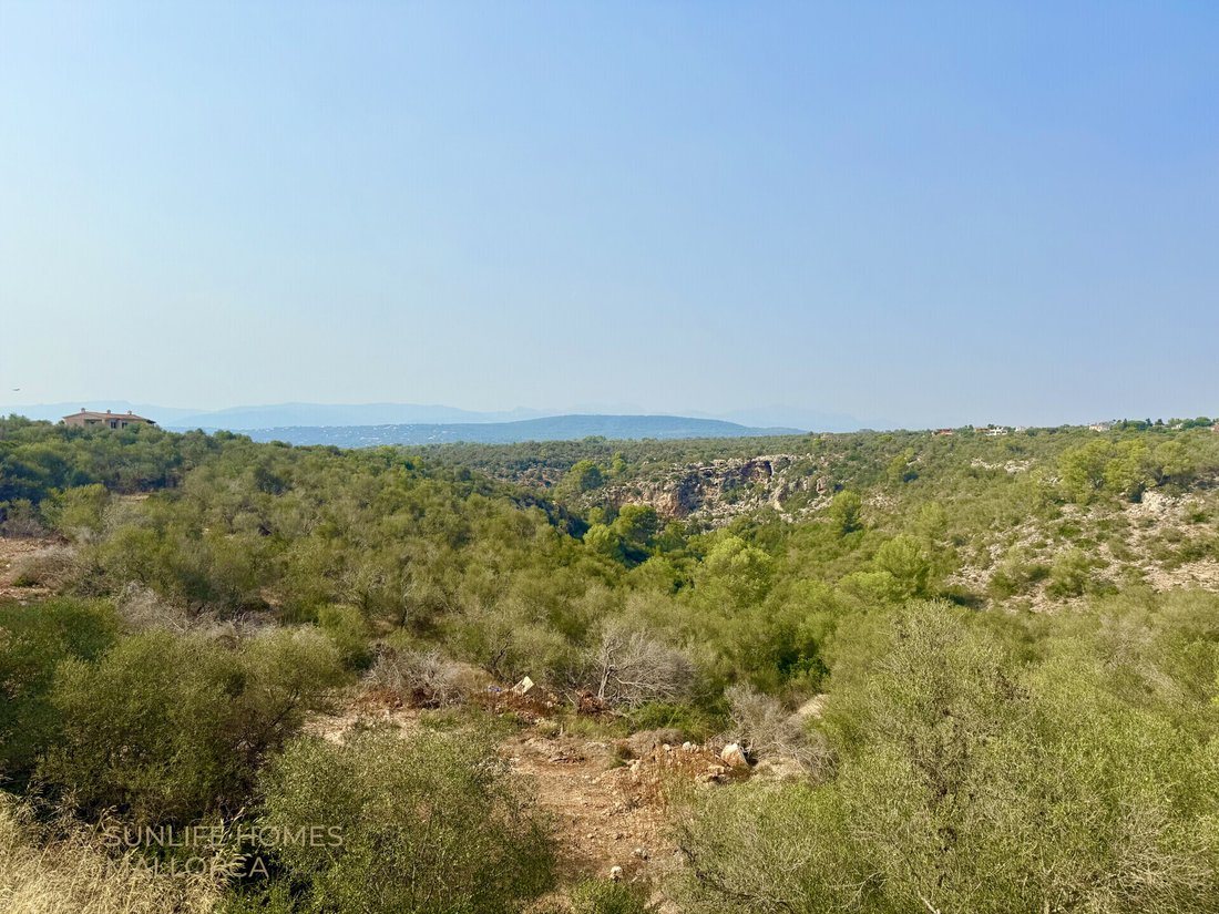 Land in Palma, Balearic Islands, Spain 5 - 17904373