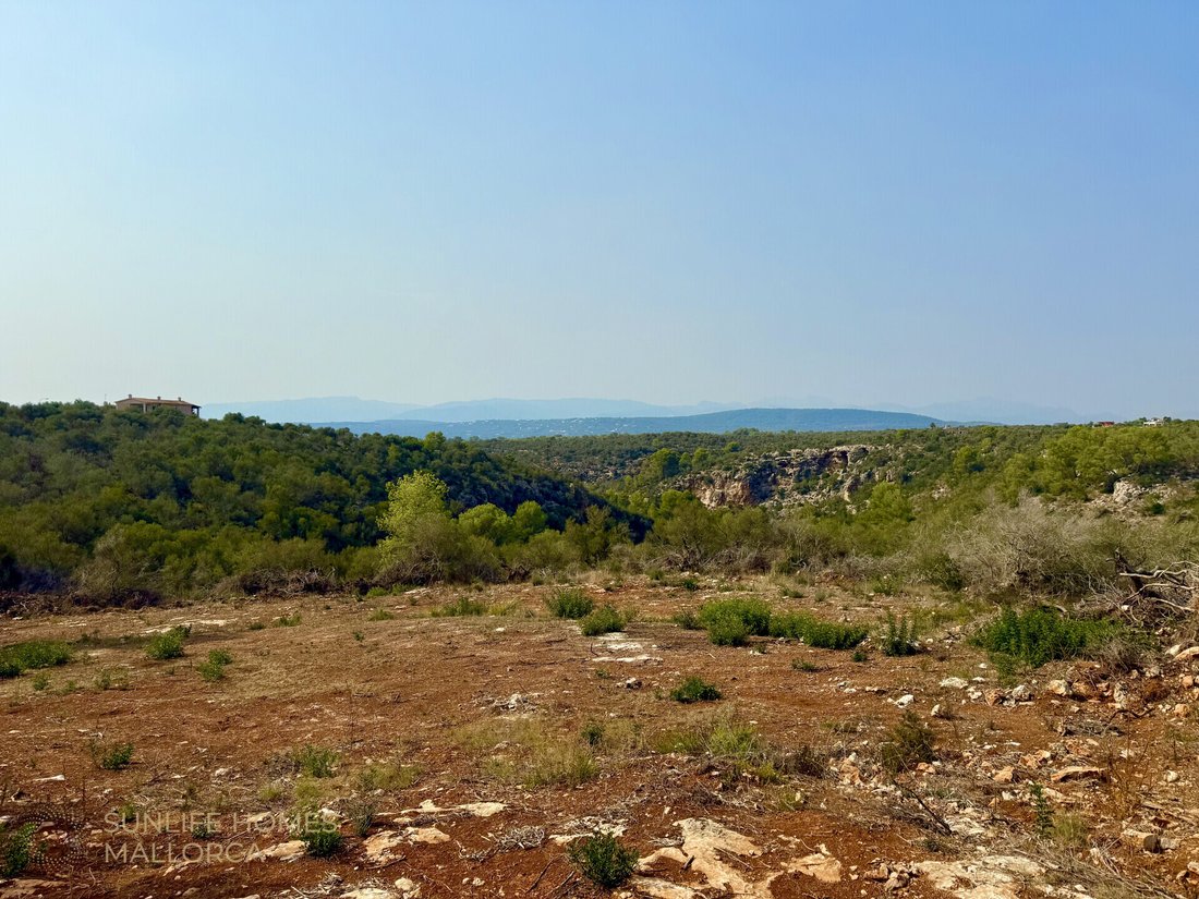 Land in Palma, Balearic Islands, Spain 2 - 17904373