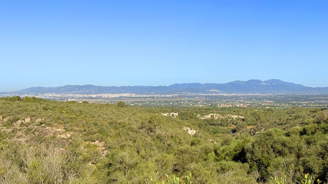 Land in Palma, Balearic Islands, Spain 2 - 17904440