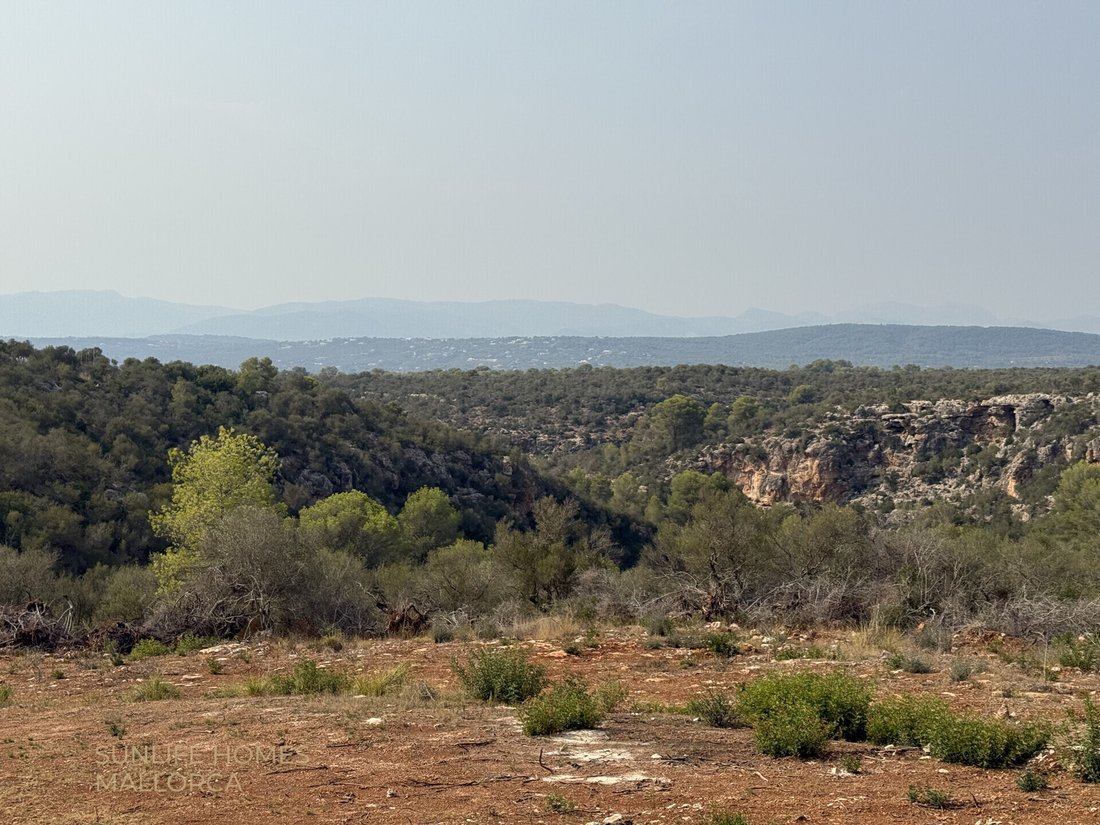 Land in Palma, Balearic Islands, Spain 3 - 17904373