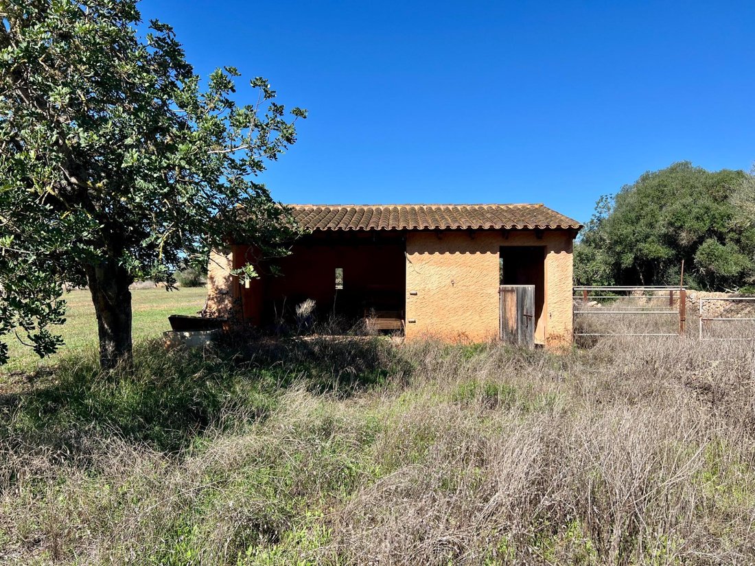 Terreno a Campos, Isole Baleari, Spagna 2 - 17904448
