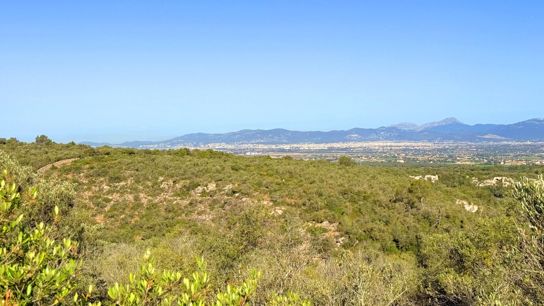 Villa in Palma, Balearic Islands, Spain 5 - 17904268