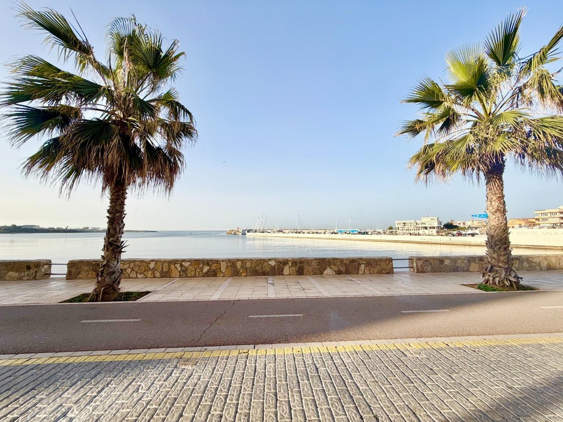 Apartment in Palma, Balearic Islands, Spain 4 - 17907507