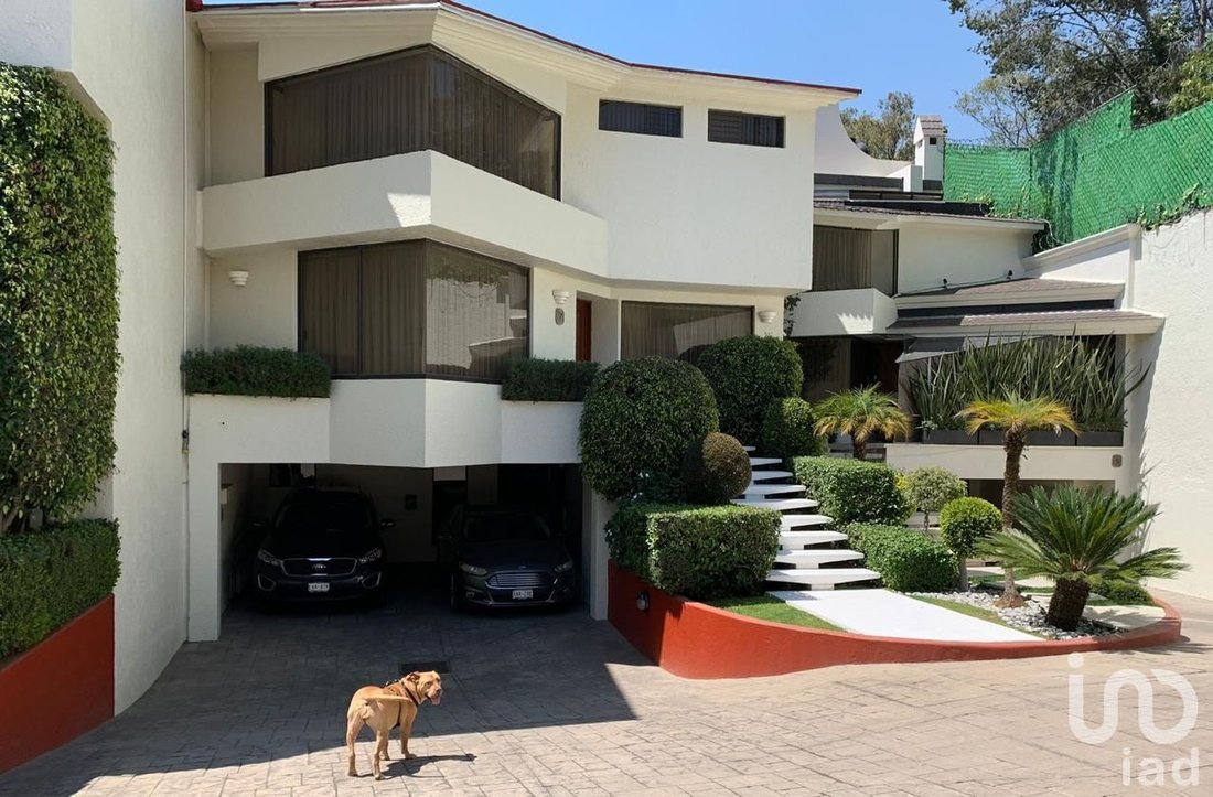 House in Mexico City, Mexico 1 - 17906622