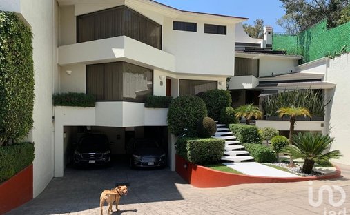 House in Mexico City, Mexico 1
