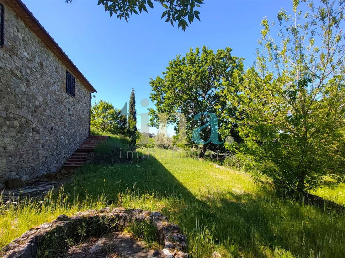 Country House in Castellina Marittima, Tuscany, Italy 5 - 17904611