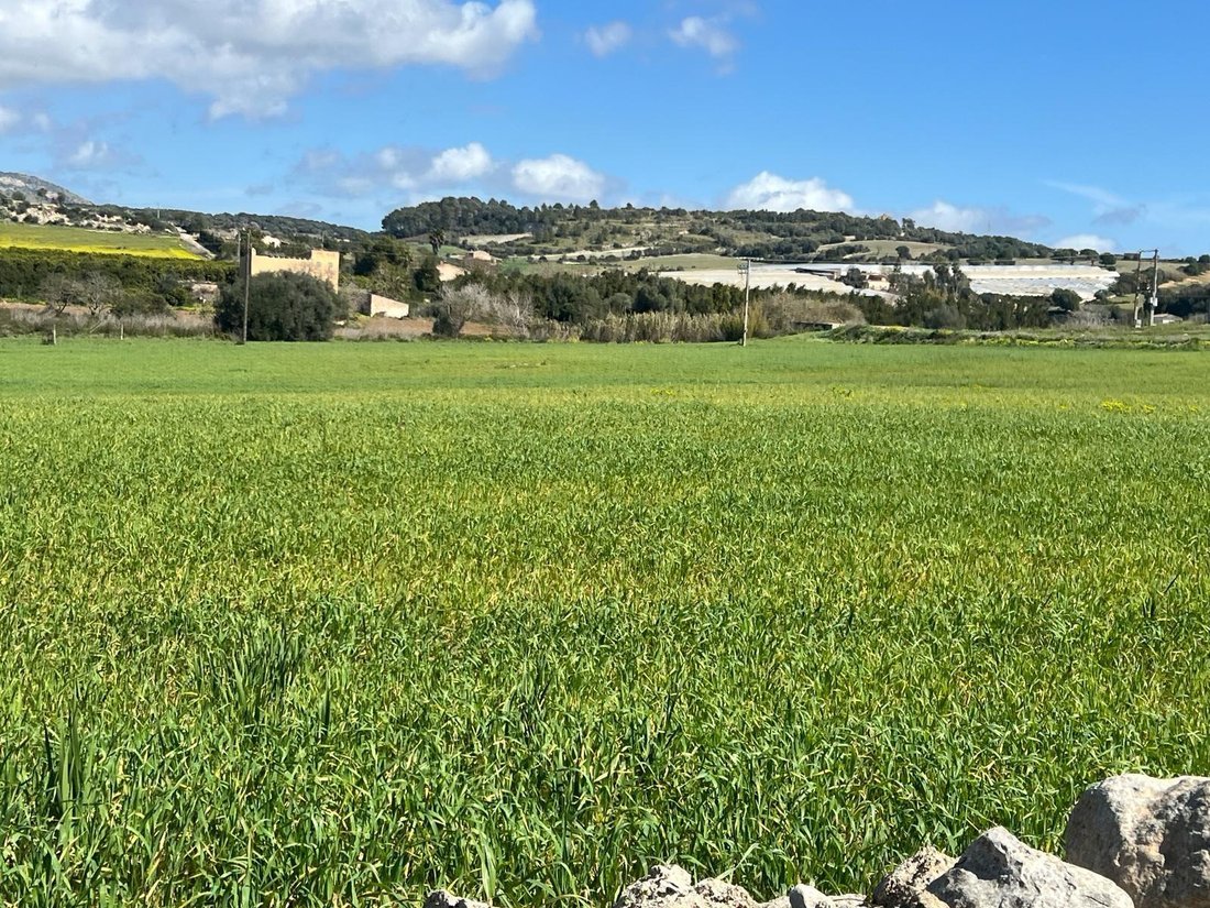 House in Manacor, Balearic Islands, Spain 3 - 17906280