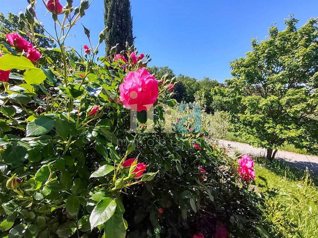 Country House in Castellina Marittima, Tuscany, Italy 2 - 17904611